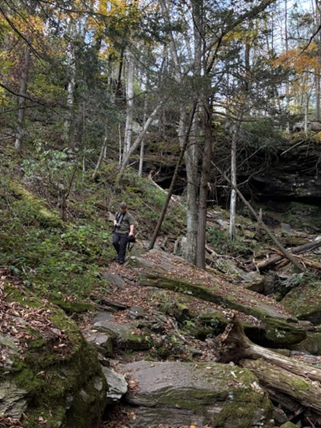 Do You Love the Loyalsock?